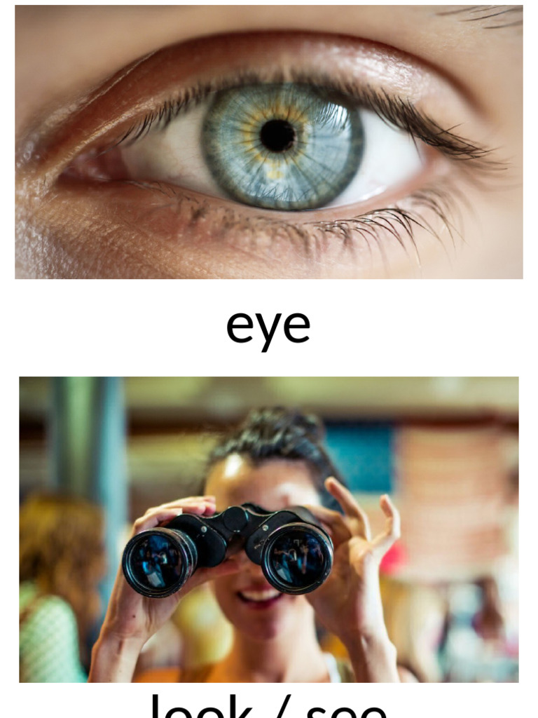 Eye Health: Vision Types & Risks | PDF