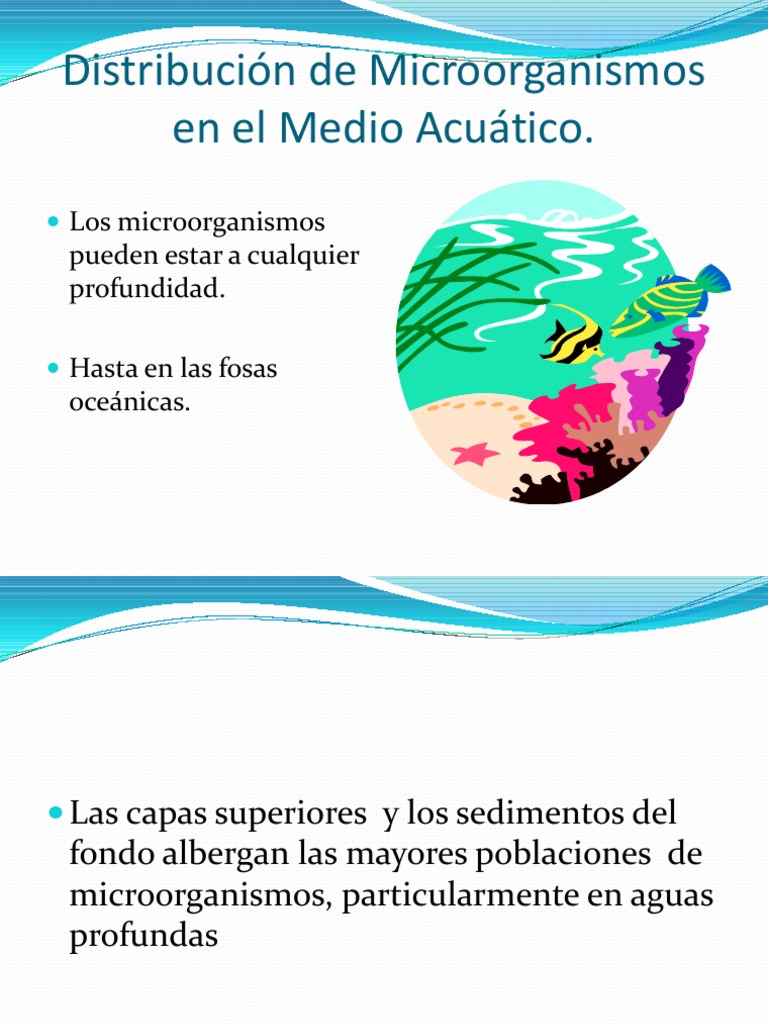 Microbiologia Acuatica | PDF