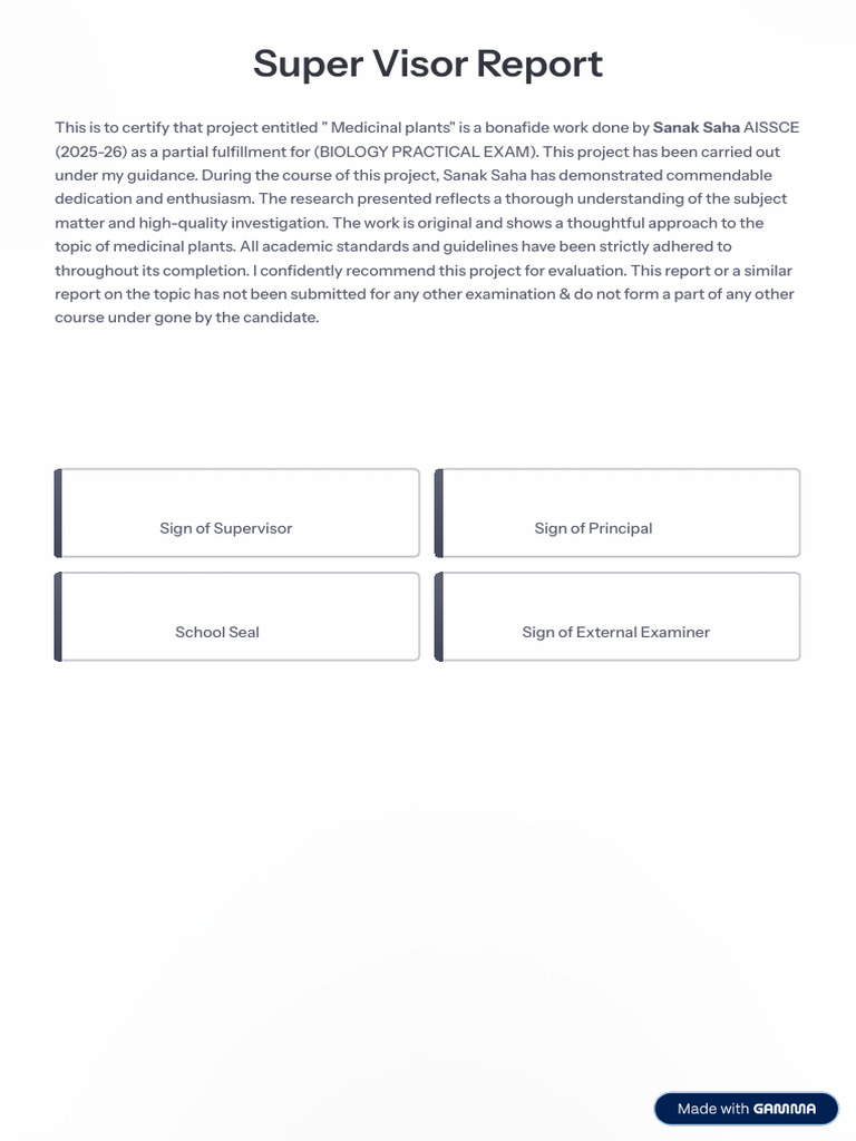 Super-Visor-Report (3) - 251031 - 202525 | PDF | Sustainability