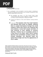 Download CHOLERA Vibrio Cholera by Asher Port SN96082985 doc pdf