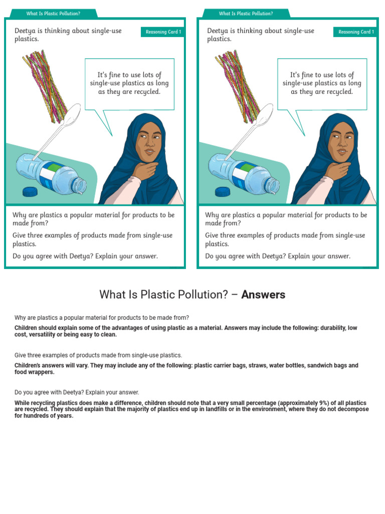Understanding Plastic Pollution Basics | PDF