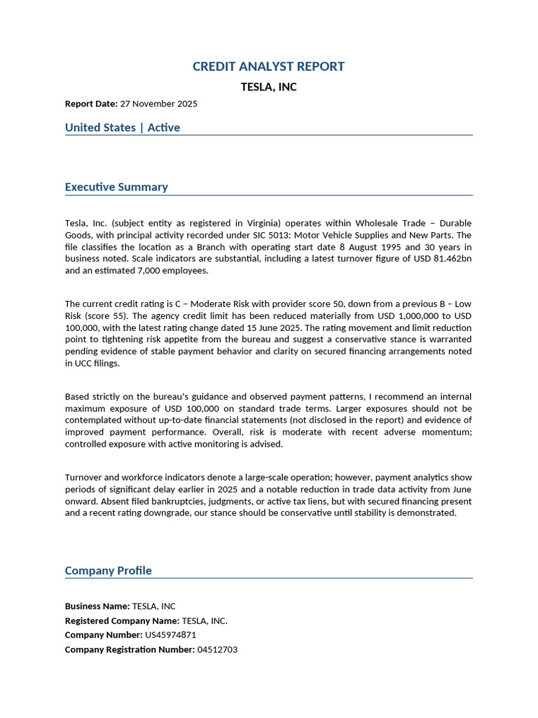 Summary Credit Report 1764242776151 | PDF | Risk | Credit