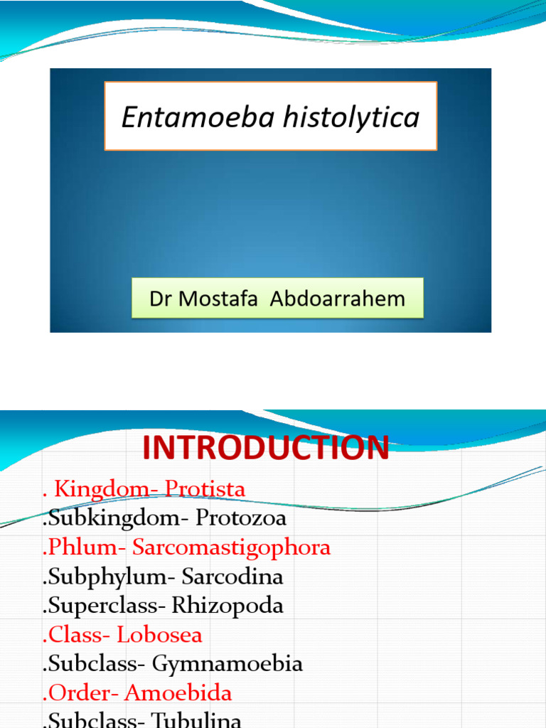 Entamoeba histolytica Overview and Pathogenicity | PDF | Large Intestine