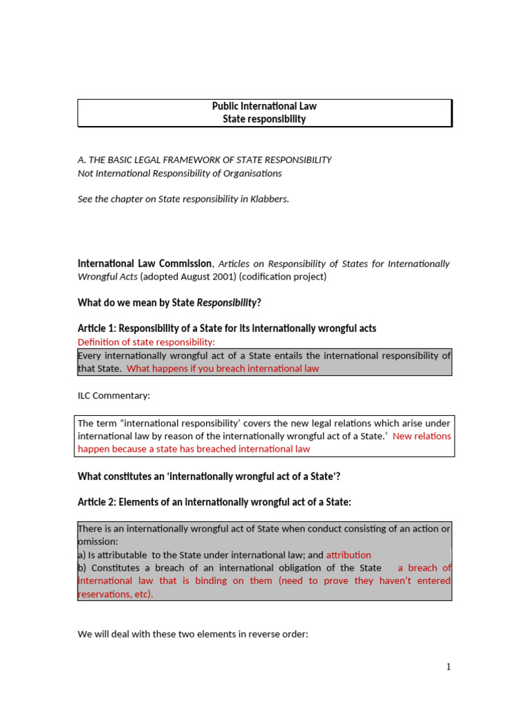Understanding State Responsibility in International Law | PDF ...