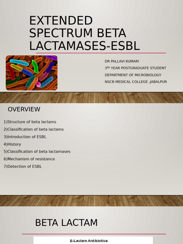 Extended Spectrum Beta-Lactamases Overview | PDF | Beta Lactamase ...