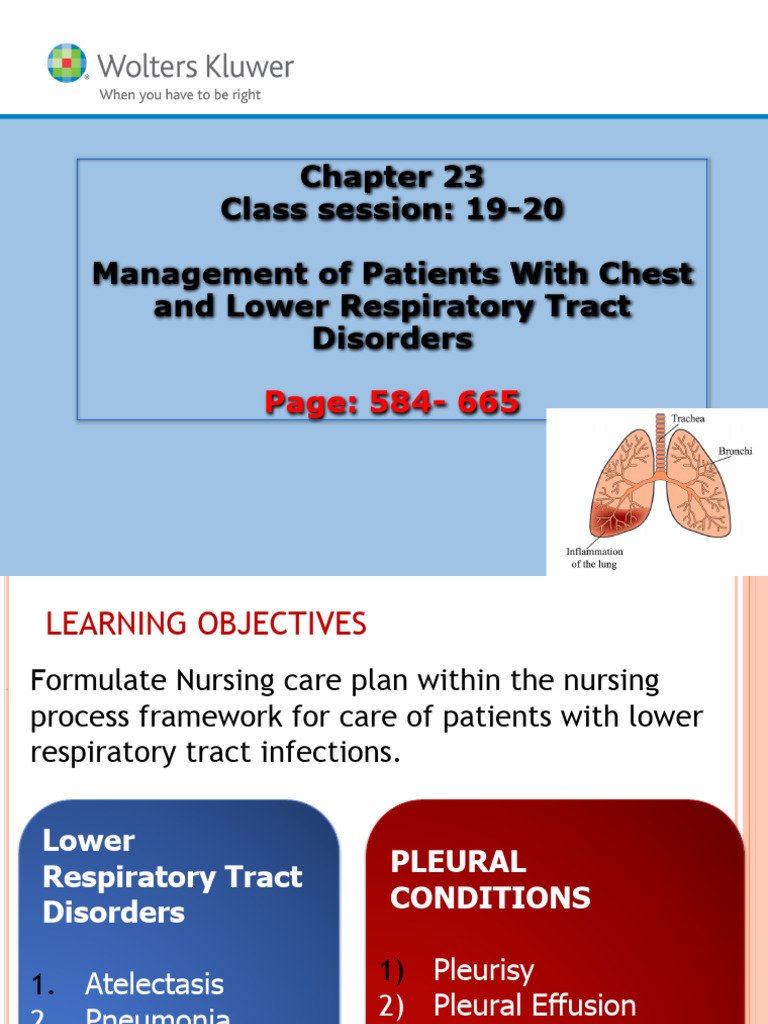 Management of Respiratory Disorders | PDF | Pneumonia | Respiratory ...