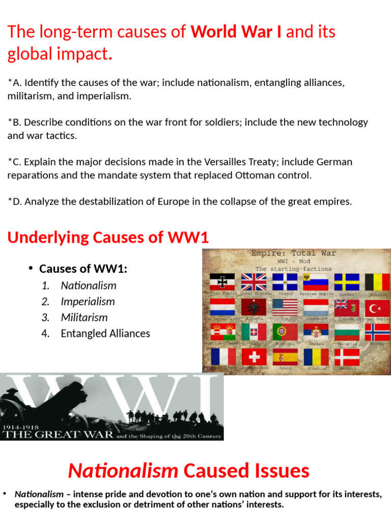 Causes and Impact of World War I | PDF | World War I | Trench Warfare