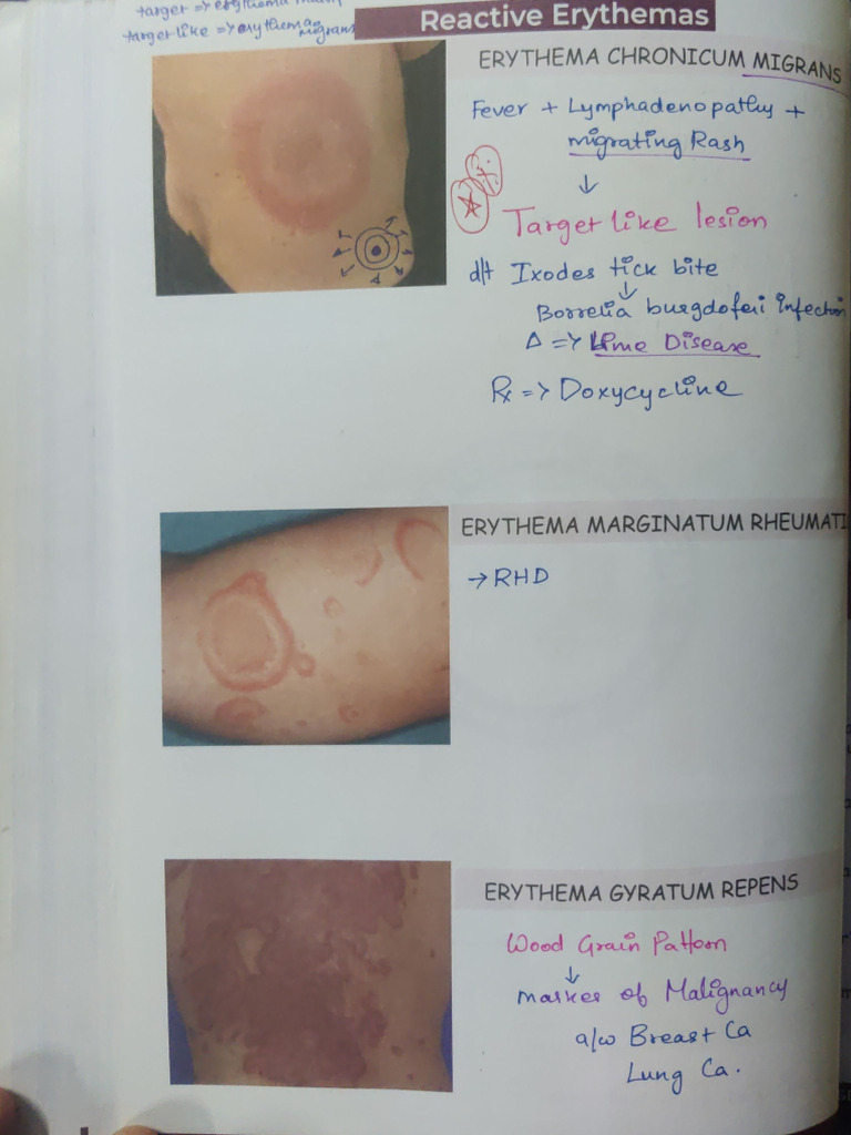 Scanned 20251105 222726 | PDF