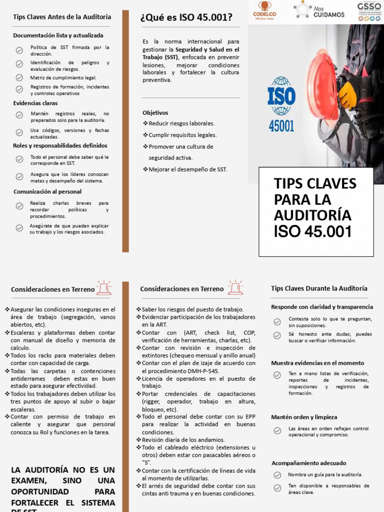 Tríptico ISO 45.001 | PDF | Auditoría