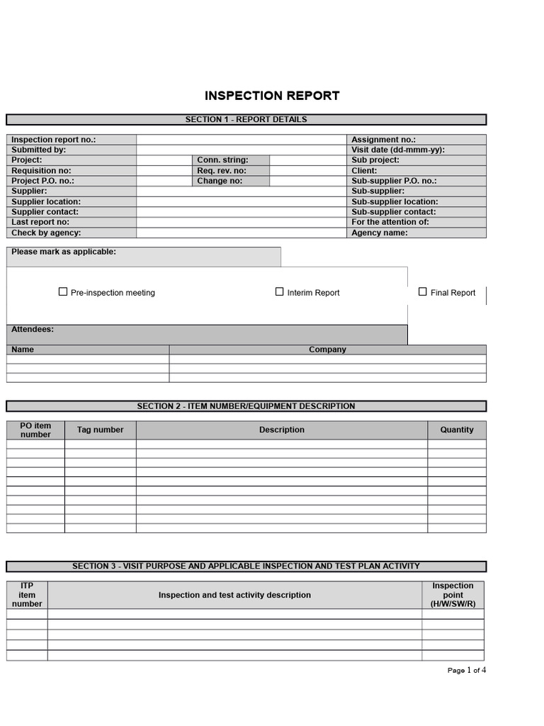 Detailed Inspection Report Overview | PDF
