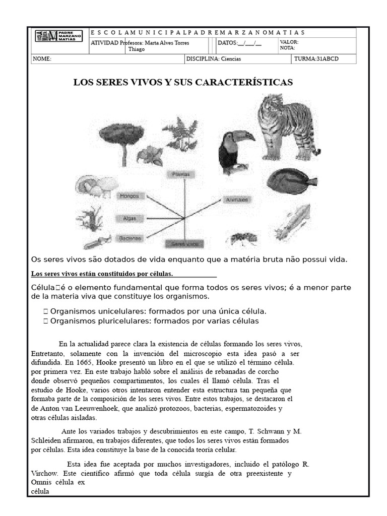 Características de los Seres Vivos | PDF | Biología Celular) | Organismos