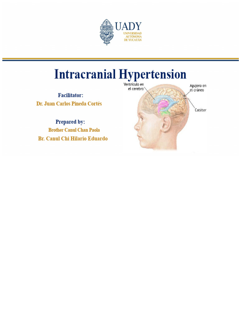 Understanding Intracranial Hypertension | PDF | Cerebrospinal Fluid ...