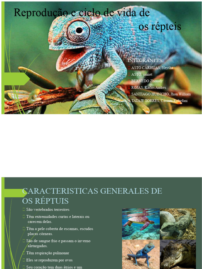 Reprodução de Répteis | PDF | Ovo | Reprodução