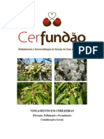 Cerfundao - 13