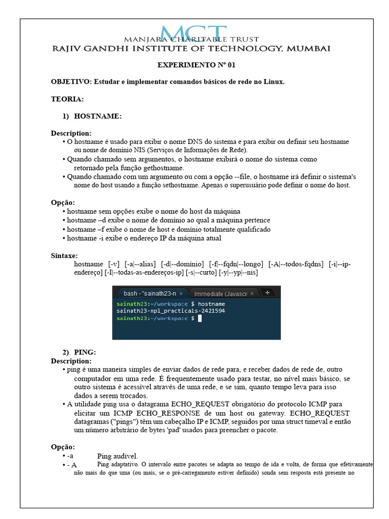 Comandos Básicos de Rede no Linux | PDF | Sistema de Nomes de Domínio ...