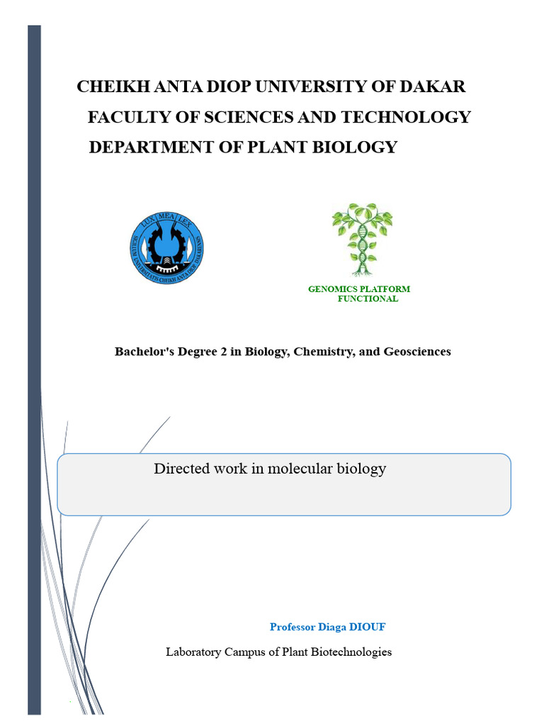 Molecular Biology Exercises and Cloning Techniques | PDF | Molecular ...