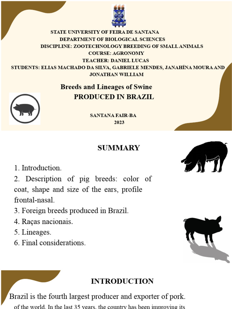 Breeds of Swine in Brazil: A Guide | PDF | Meat | Pig