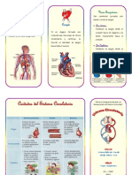 Triptico de Sistema Circulatorio