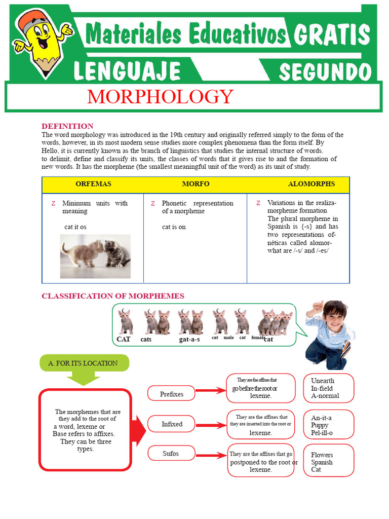 Understanding Morphology in Linguistics | PDF | Morphology (Linguistics ...