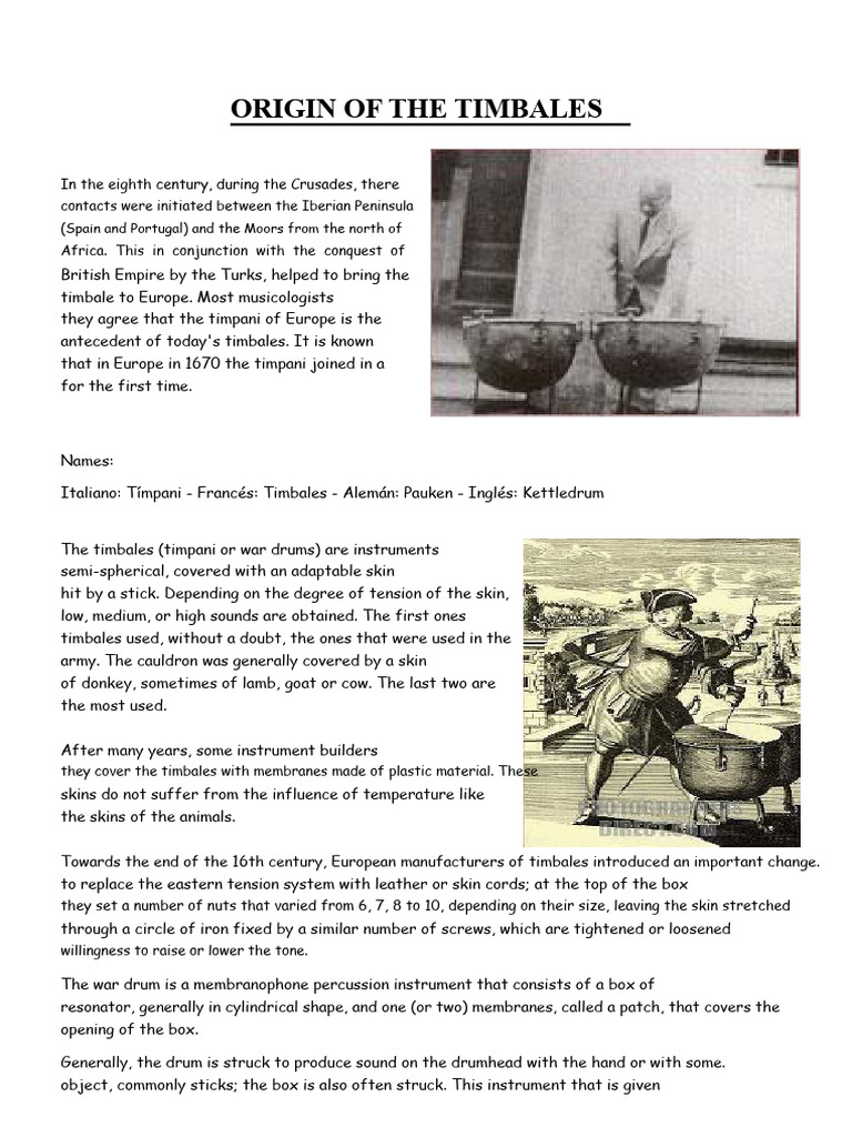 Origin of the Timbales | PDF | Gaiaphones | Drumming