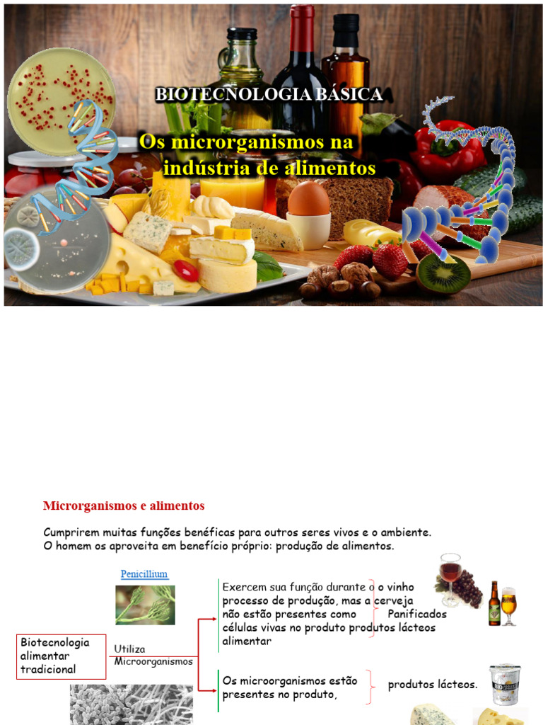 microrganismos-na-ind-stria-alimentar-pdf-microrganismo-fermento