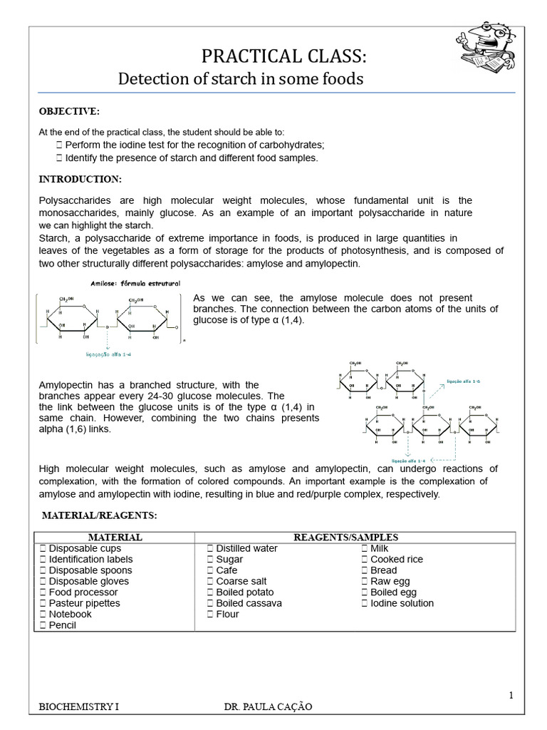 Starch Detection in Food Samples | PDF | Starch | Polysaccharide