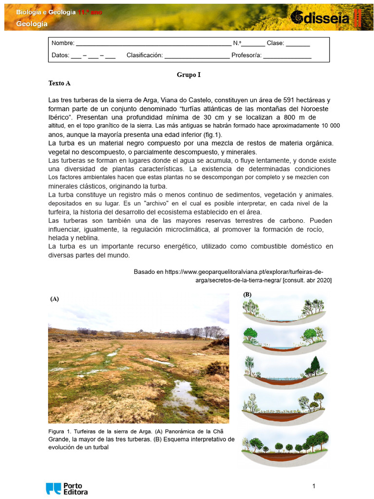 576359583-odis11-21-22-prueba | PDF | Turba | Roca (geología)