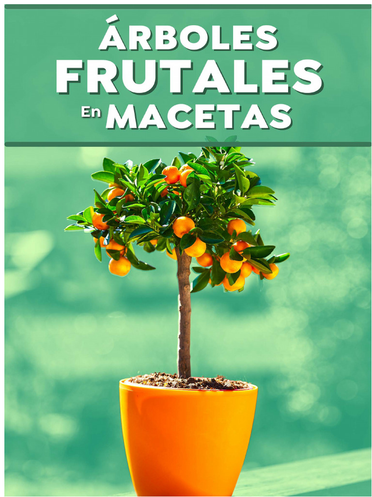 Potted Fruit Tree Cultivation Guide | PDF | Trees | Soil