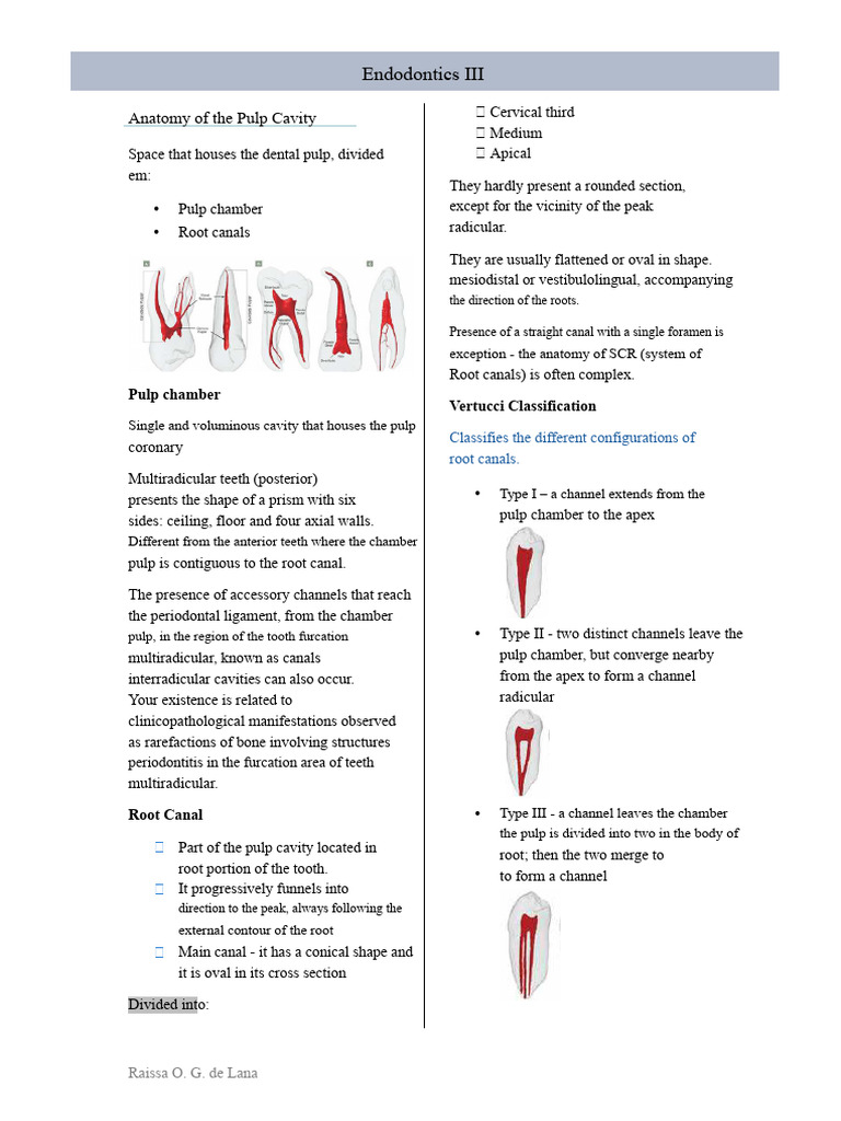 Endodontics: Anatomy of Pulp Cavity | PDF | Dental Anatomy | Tooth