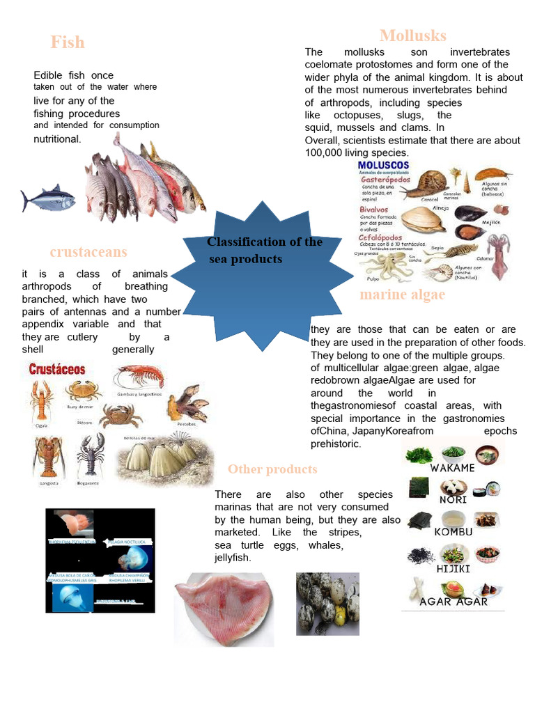 Nutritional Value of Fish and Seafood | PDF | Seafood | Omega 3 Fatty Acid