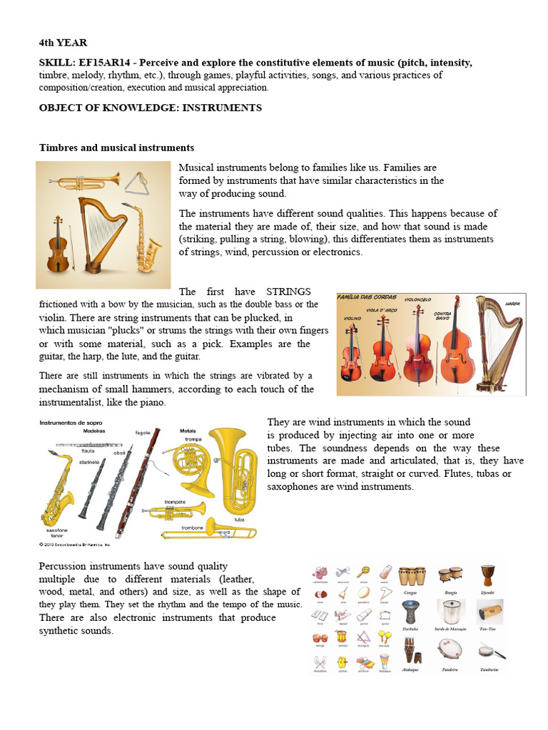 Understanding Musical Instrument Families | PDF