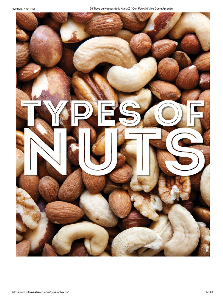 59-tipos-de-nueces-de-la-a-a-la-z-con-fotos-vive-come-aprende
