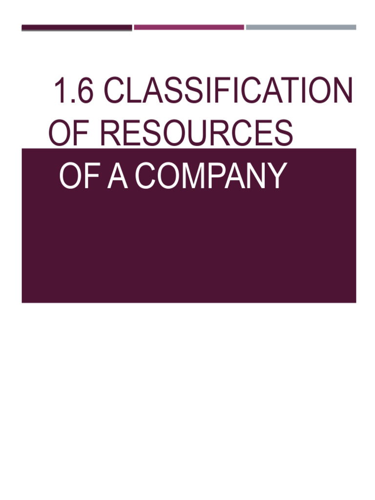 Company Resource Classification Guide | PDF | Resource | Business Economics