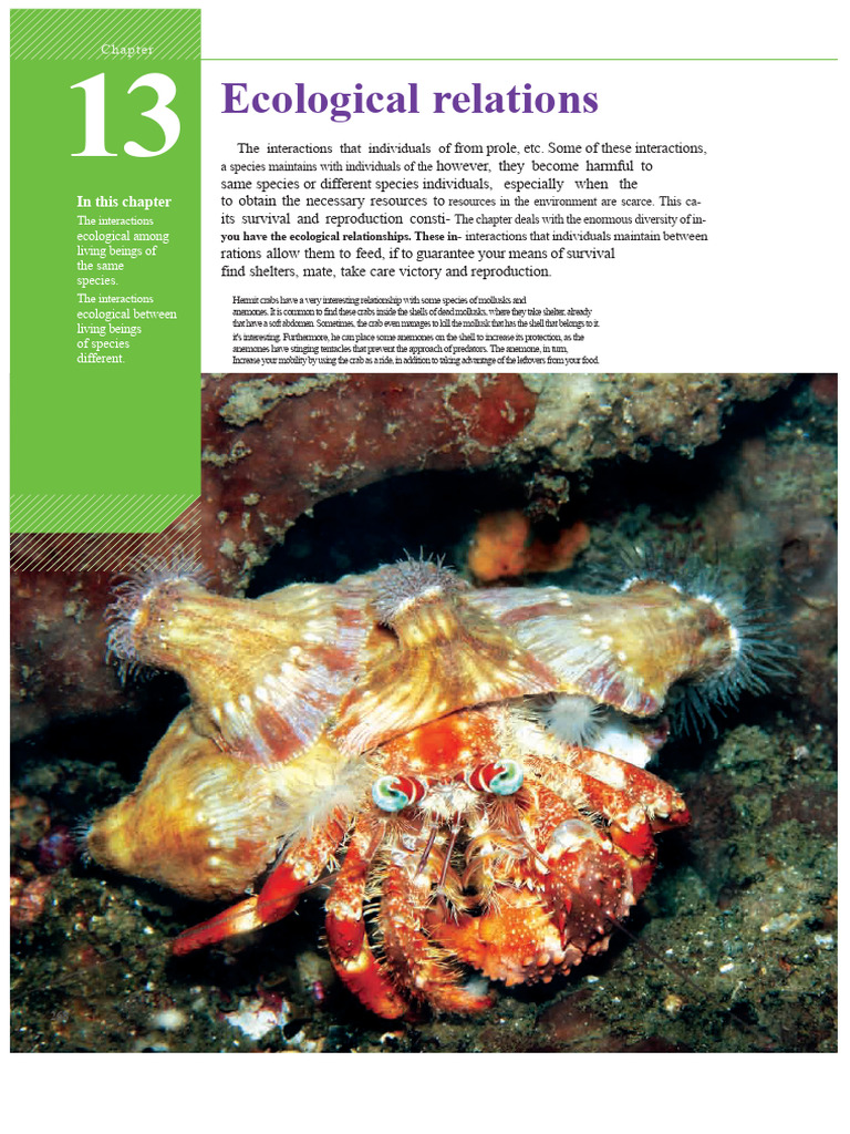 Ecological Relations Book PDF | PDF | Eusociality | Ant