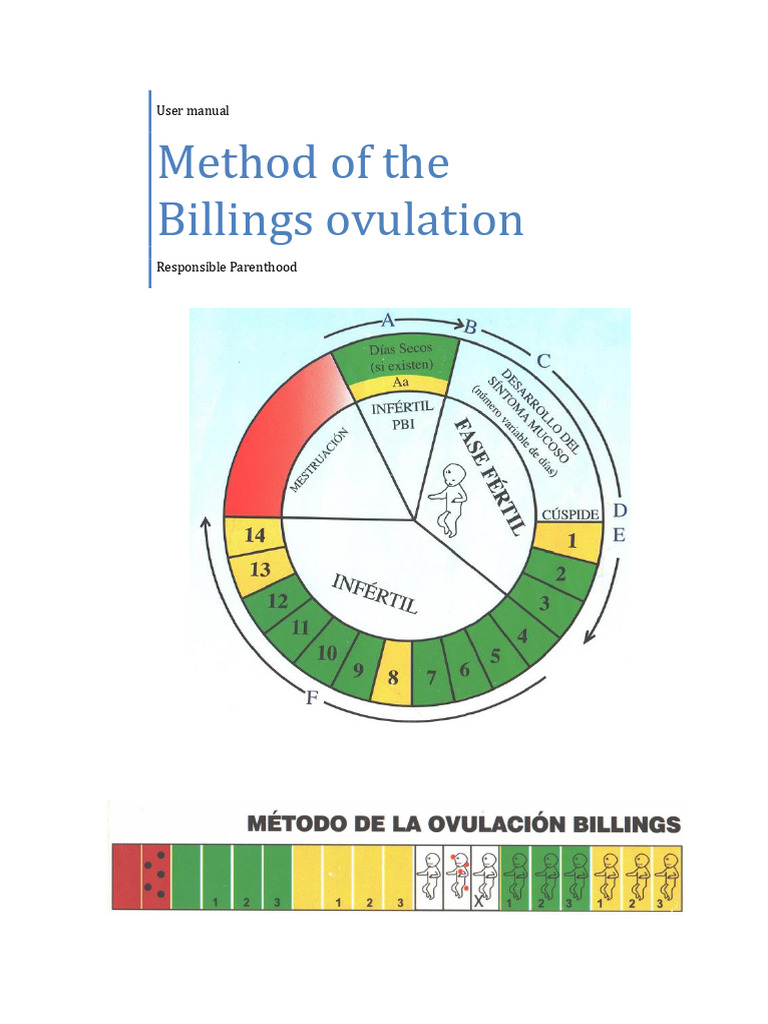 Billings Ovulation Method User Guide | PDF | Reproductive System ...