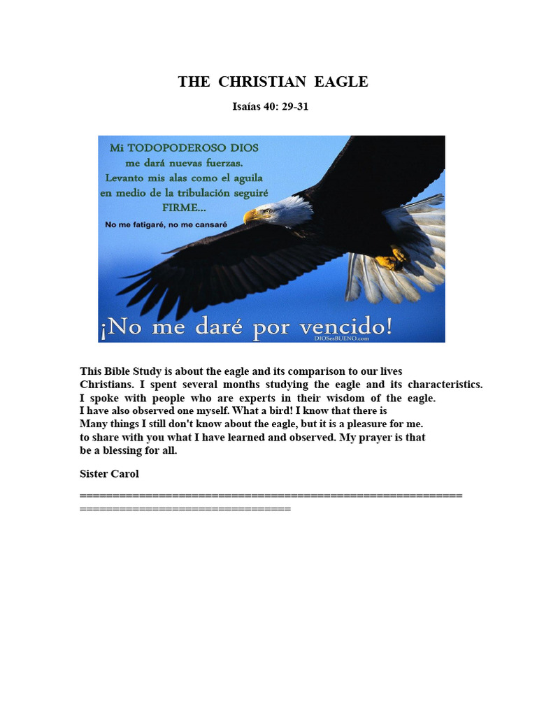 The Christian Eagle | PDF | Eagle | God