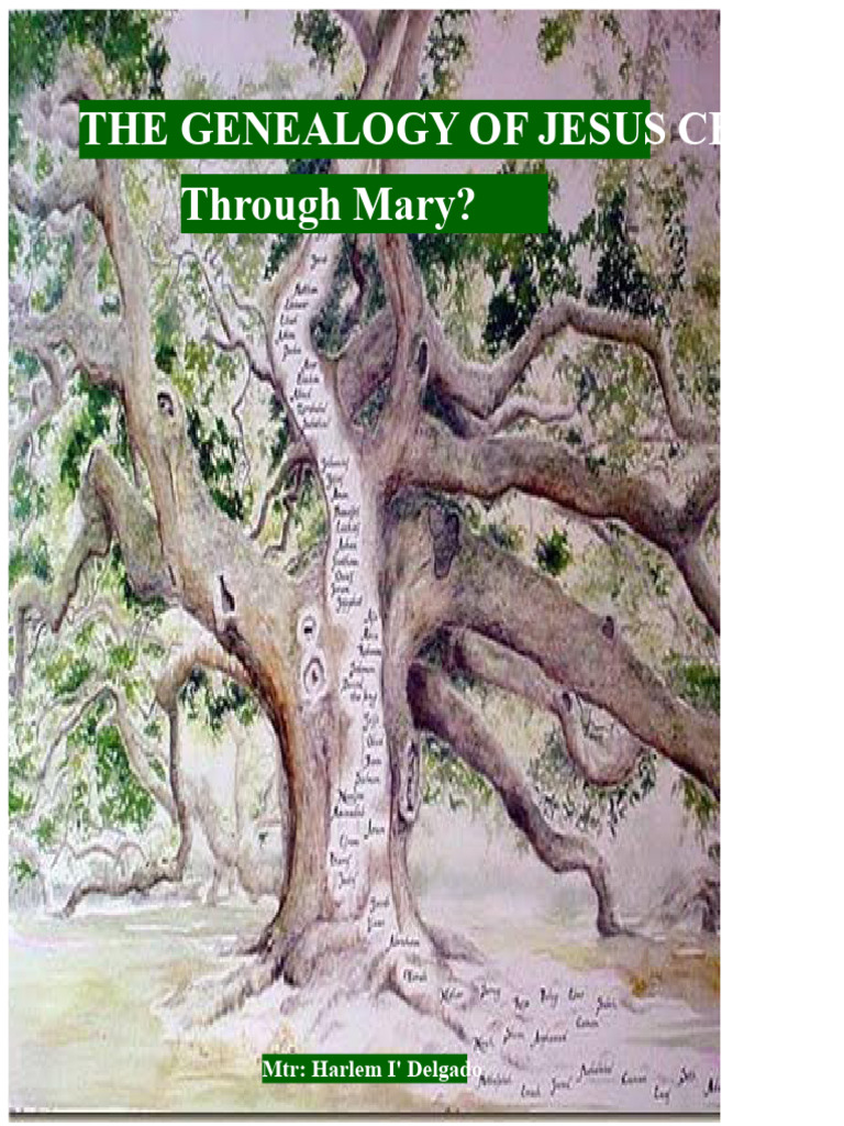 Jesus Christ's Genealogy Explained | PDF | Bible Content