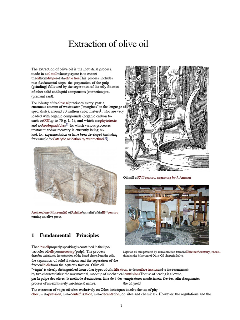 Olive Oil Extraction Process Explained | PDF | Water | Filtration