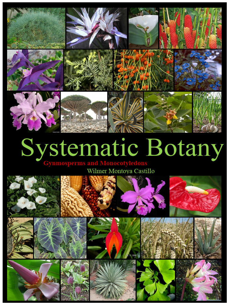 Manual of Systematic Botany | PDF | Flowers | Taxonomy (Biology)