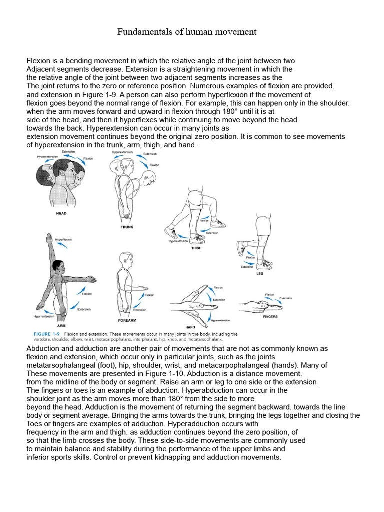 Understanding Human Movement Basics | PDF | Anatomical Terms Of Motion ...
