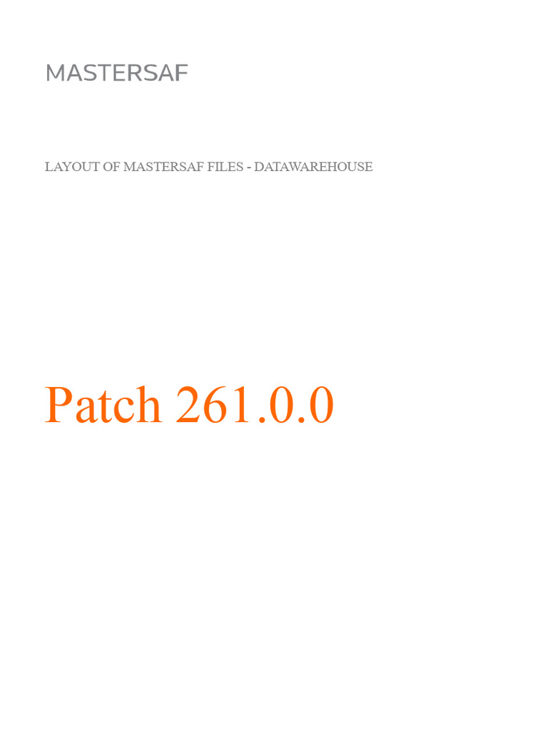 Mastersaf File Layout Overview | PDF | Debits And Credits | Business