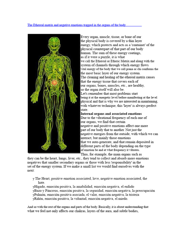 The Ethereal Matrix and Negative Emotions Stagnant in The Organs of The ...
