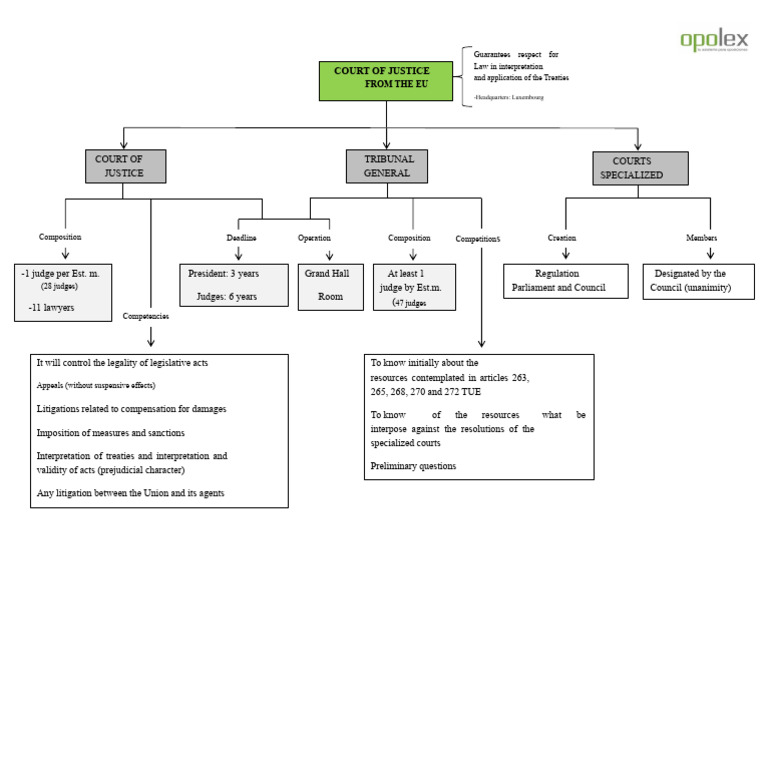 EU Court of Justice: Structure & Functions | PDF | European Court Of ...