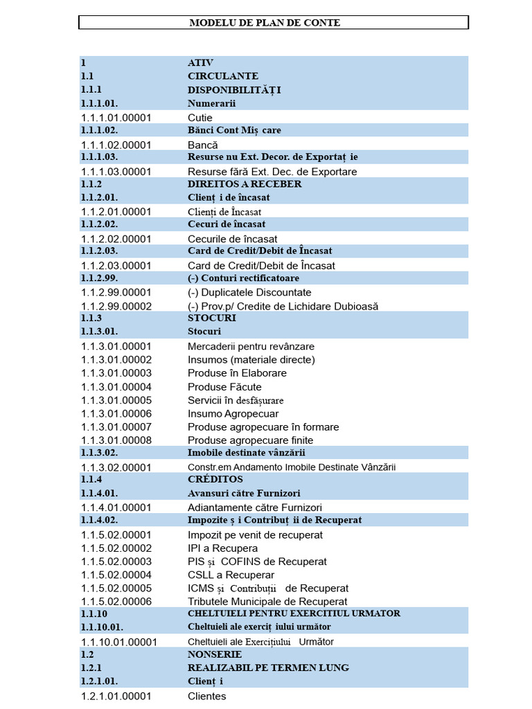 Model de Plan de Conturi | PDF