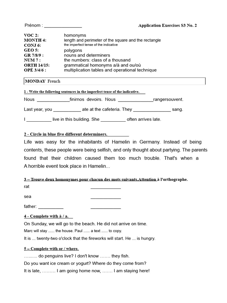 French and Math Exercises for Students | PDF | Linguistic Morphology ...