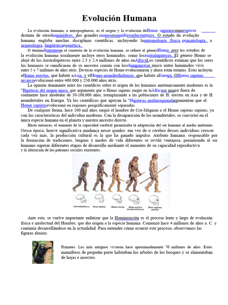 Evolución del género Homo y sus especies | PDF | Homo | Evolución humana