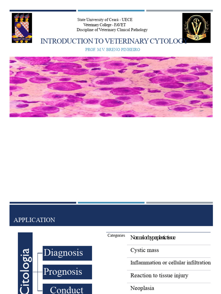 Veterinary Cytology Overview and Applications | PDF | Neoplasms | Cell ...