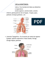 Anatomia Informe 1
