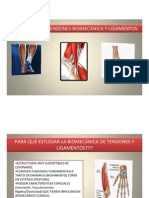 Tendon y Ligamentos