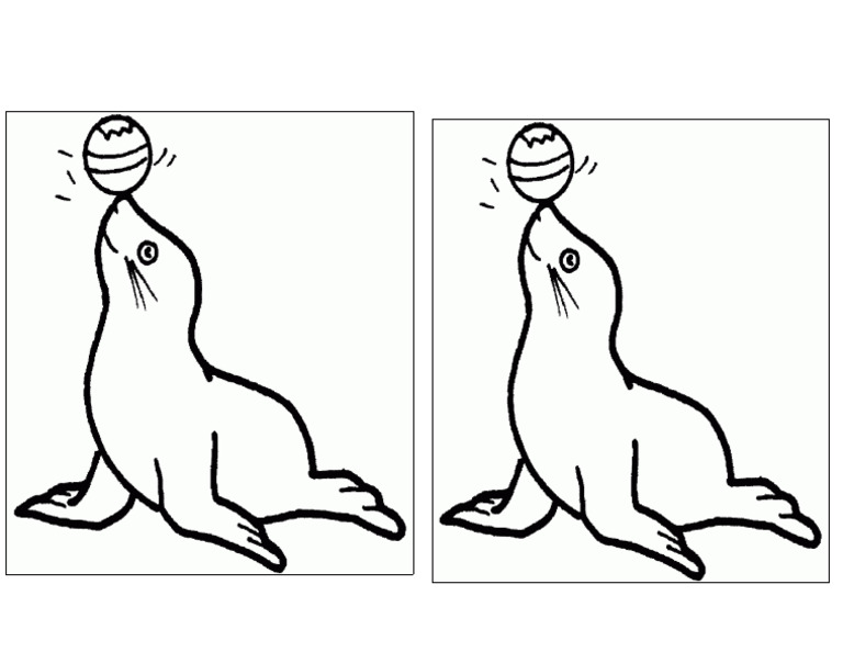 Foca | PDF